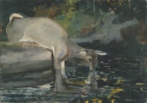 Painting "Deer drinking" by Winslow Homer