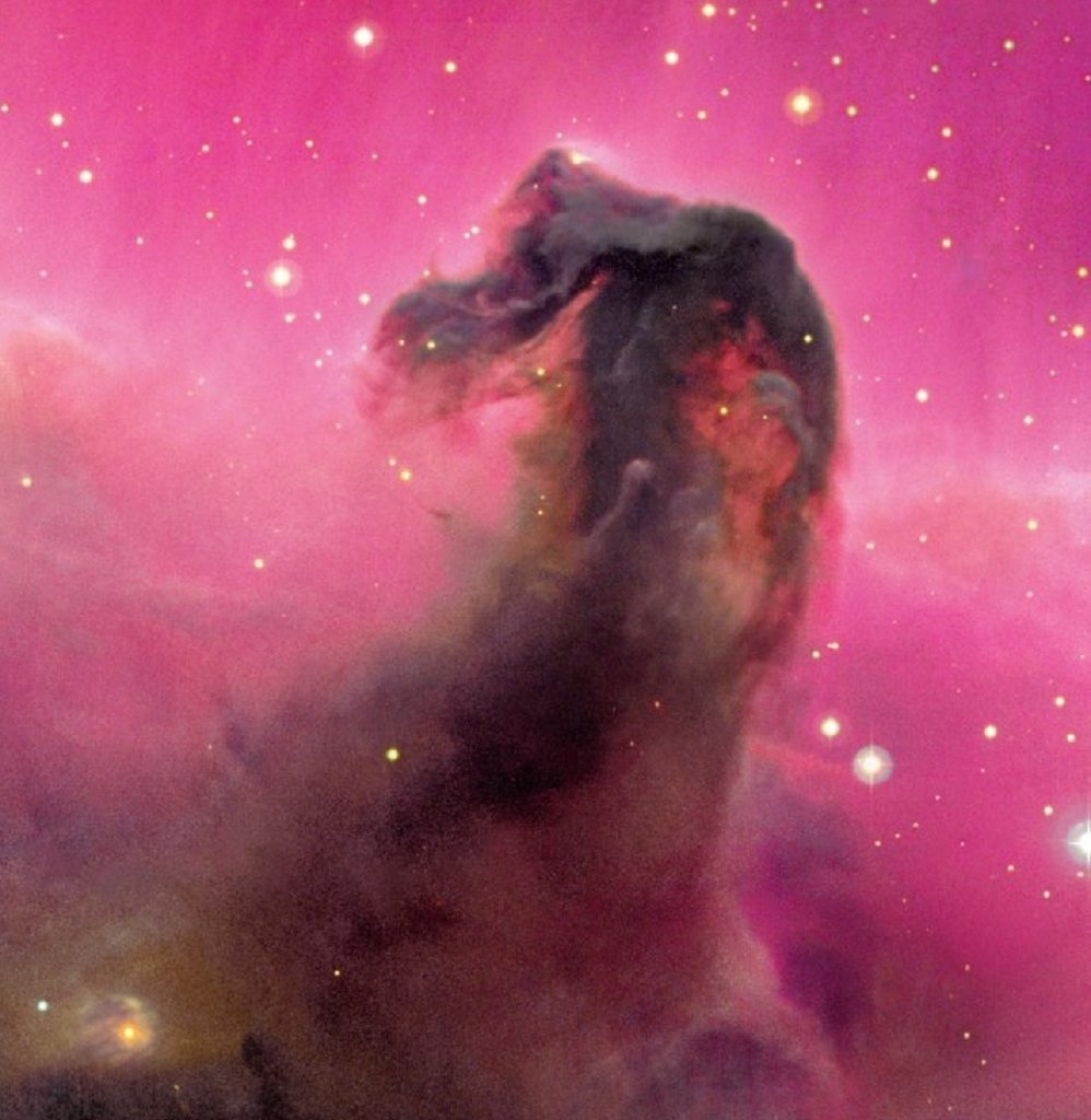 the Horsehead nebula